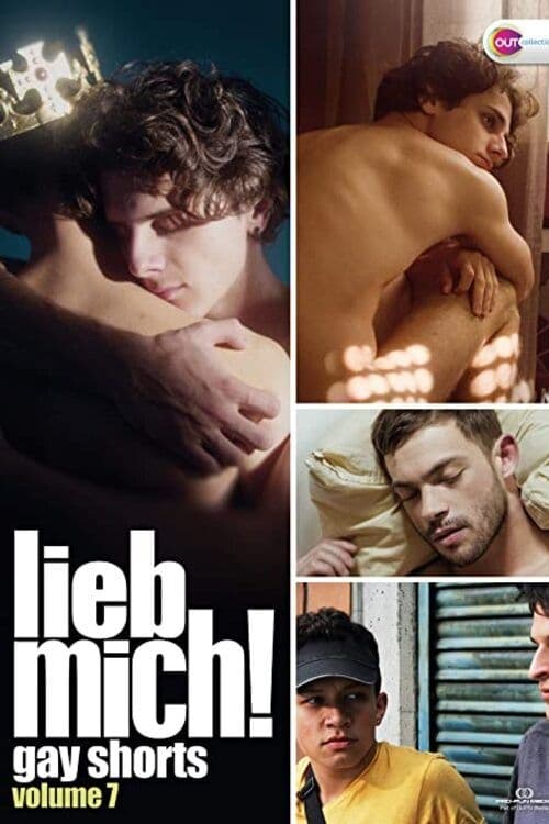 LIEB MICH! - Gay Shorts Volume 7 (2020) poster