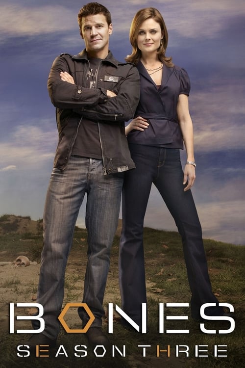 Where to stream Bones Season 3