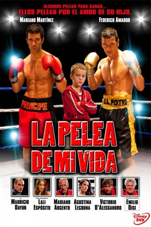 La pelea de mi vida (2012) poster