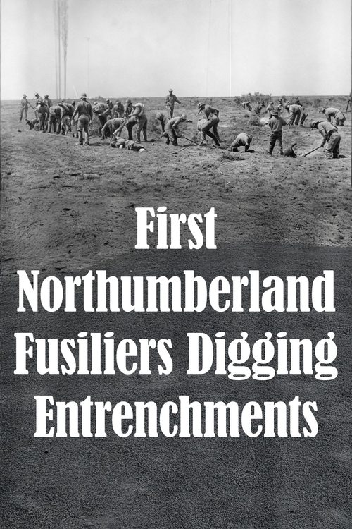 First Northumberland Fusiliers Digging Entrenchments