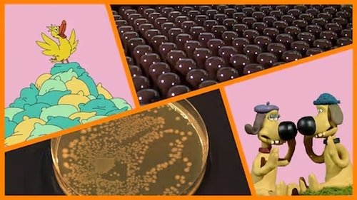 Image de l'épisode 6