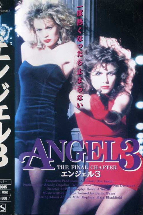 Angel III: The Final Chapter
