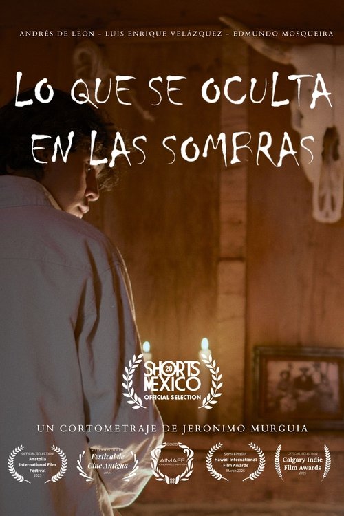 WHAT HIDES WHITIN THE SHADOWS (2025) poster
