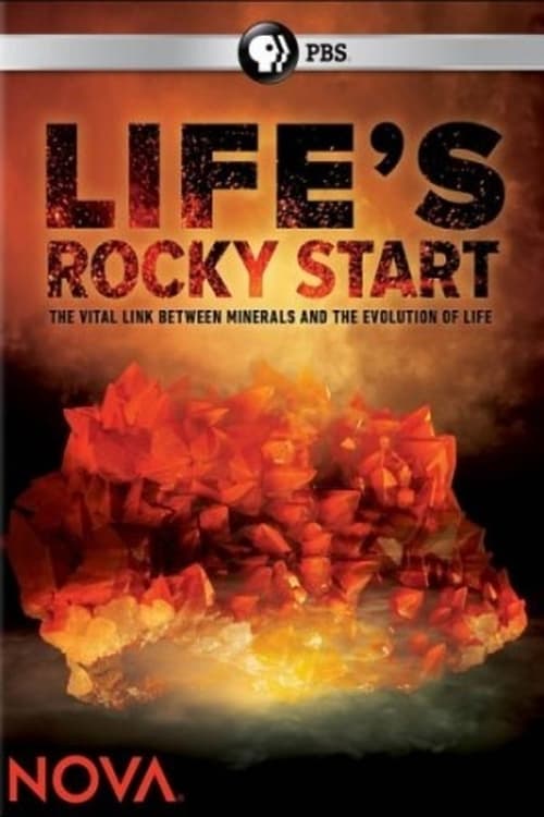 Life's Rocky Start 2016