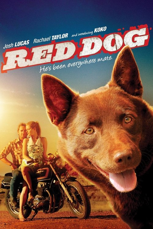 Red Dog movie poster player