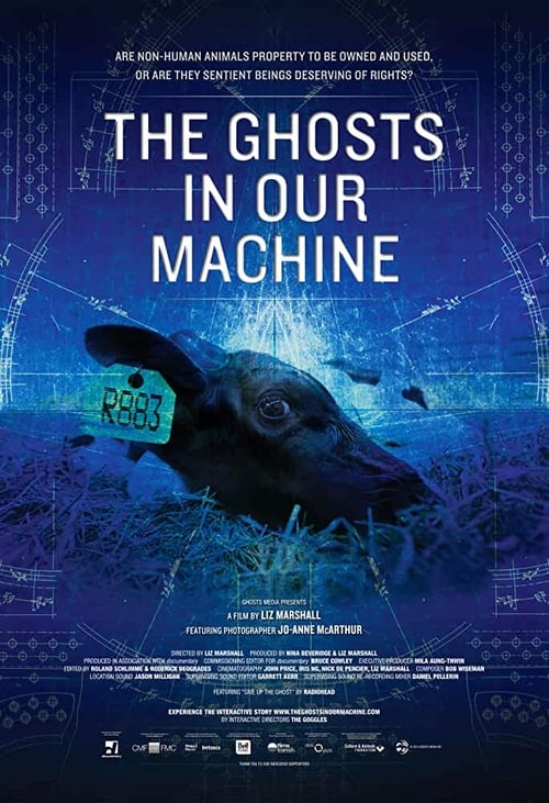 The Ghosts in Our Machine (2013)