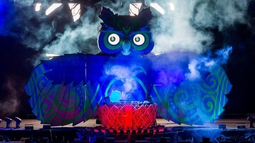 Under the Electric Sky Soundtrack banner
