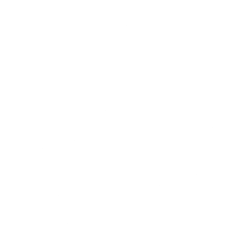 Logo Waves