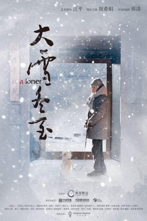 大雪冬至 movie poster player