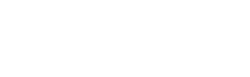 Les tortues