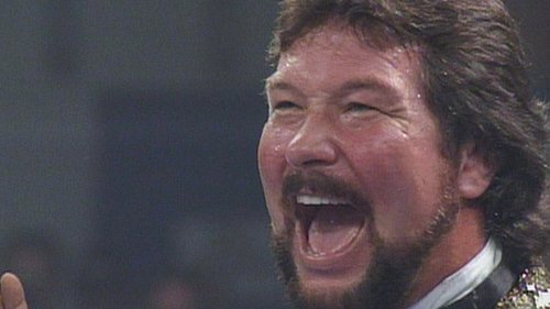 Poster della serie WWF Superstars