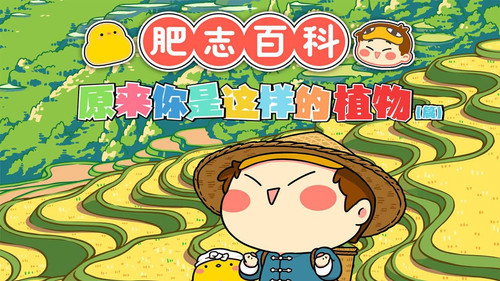 肥志百科