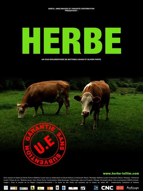Herbe