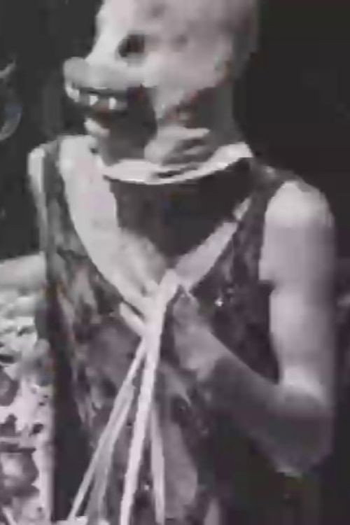 Pissed Off Trannies: Zap 1