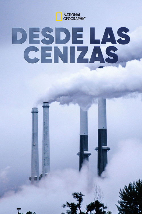 From the Ashes poster