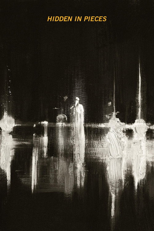 Yeah Yeah Yeahs: Hidden in Pieces poster