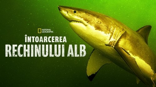 /k4VbFsxPQ7FXG14ZDoYnivOICVX.jpg