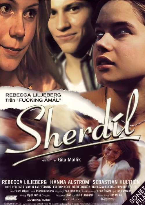 Poster do filme Sherdil