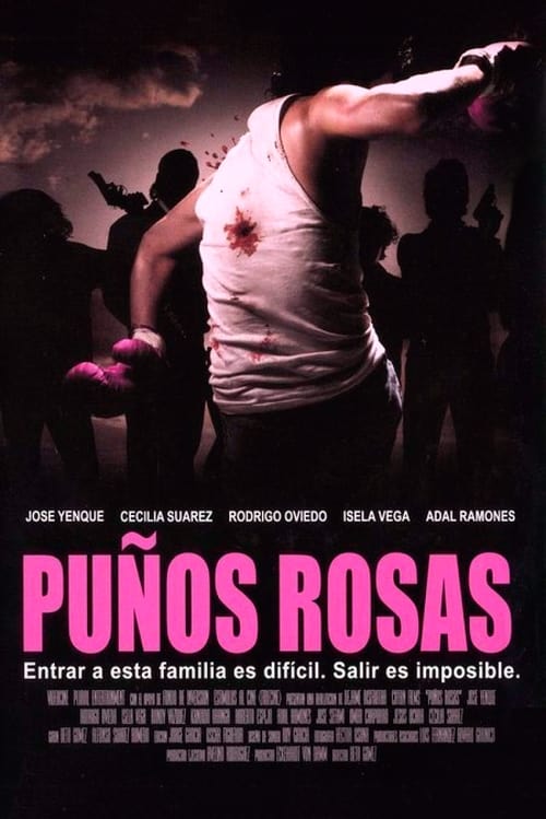 Puños rosas (2004) poster