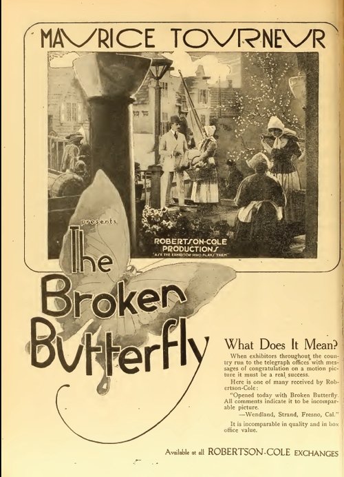 The Broken Butterfly movie poster player
