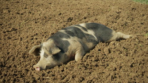 Image de l'épisode 2