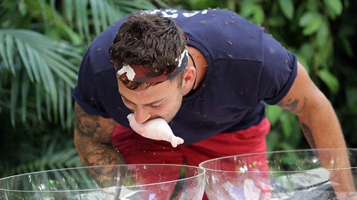 Hell's Kitchen / The Critter Cube