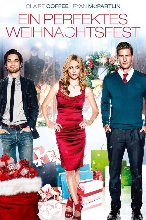 Ein perfektes Weihnachtsfest poster