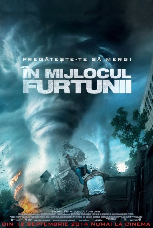 Poster pentru În mijlocul furtunii