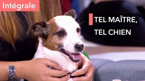 Image de l'épisode 95