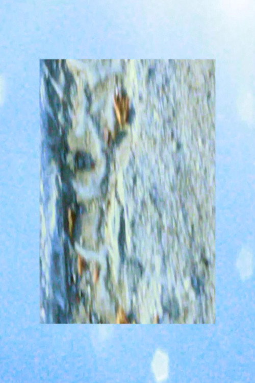 “I just wanted to stare at the clouds but they wouldn’t let me”