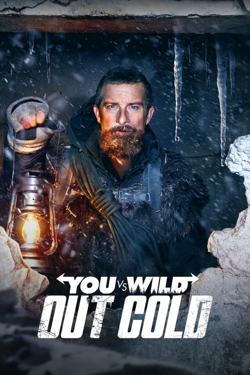 You vs. Wild: Out Cold Movie Poster Image