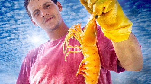 Big Shrimpin' - Season 1 Backdrop Blur