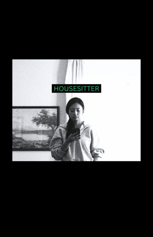 HOUSESITTER poster