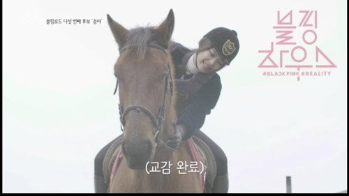 (BLACKPINK HOUSE)’ EP.11-2