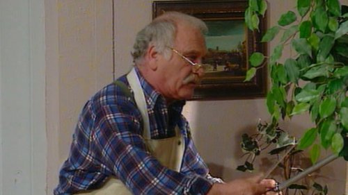 Image de l'épisode 16