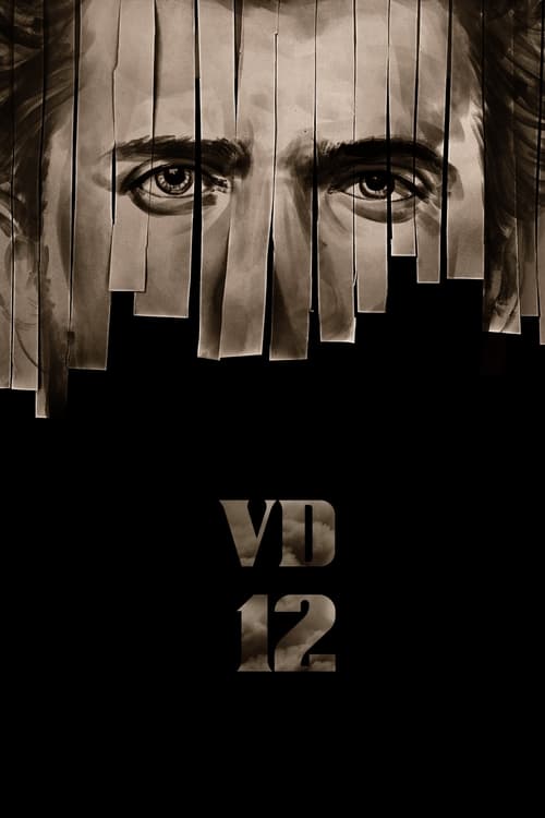 VD12 (2024) poster