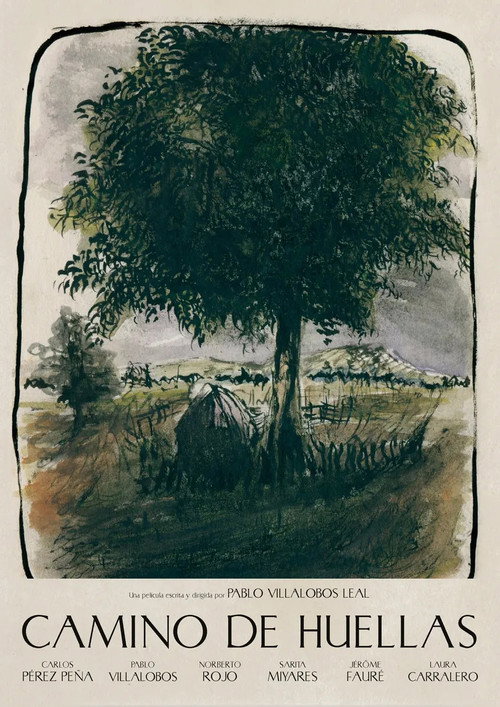 Camino de Huellas poster