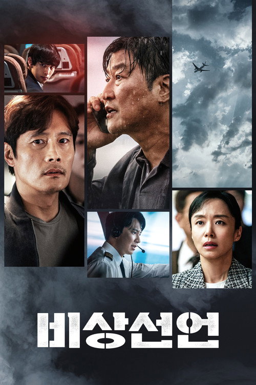 Emergency Declaration poster