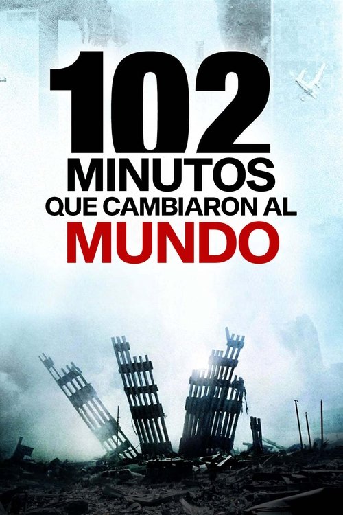 102 Minutes That Changed America poster