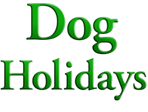 The Dog Who Saved the Holidays
