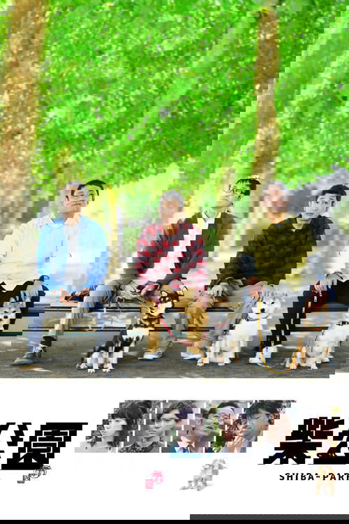 柴公園