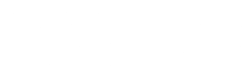A Ausência que Seremos