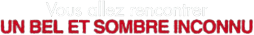 Vous allez rencontrer un bel et sombre inconnu