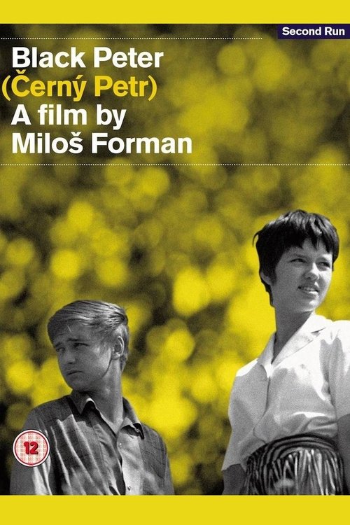 Poster 5