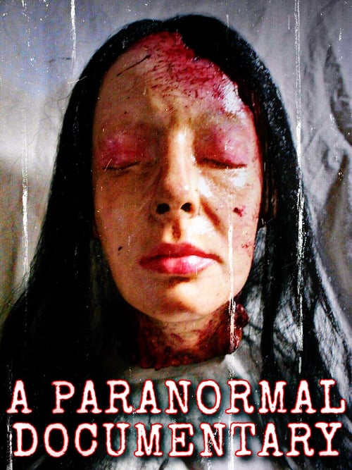 A Paranormal Documentary (2020) poster
