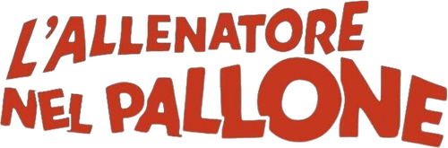 L'allenatore nel pallone