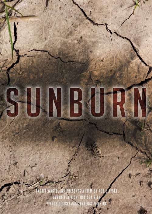 Sunburn poster