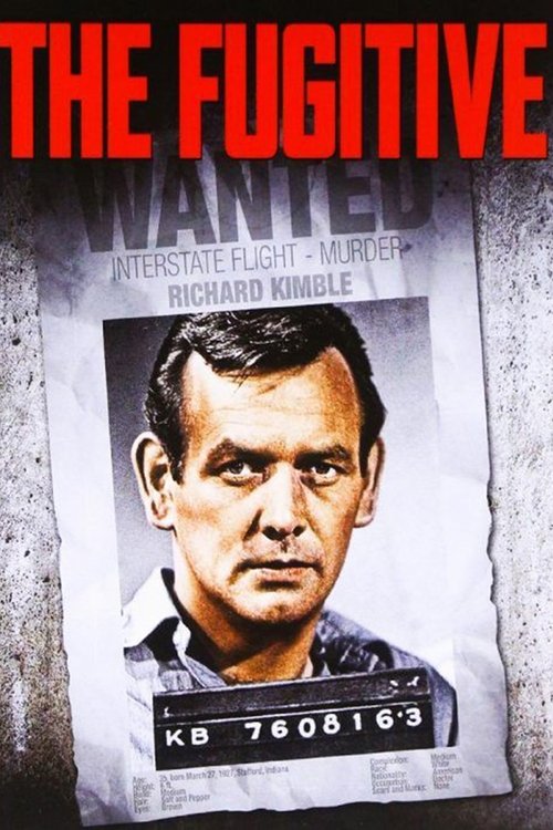 The Fugitive, S00E10 - (1963)