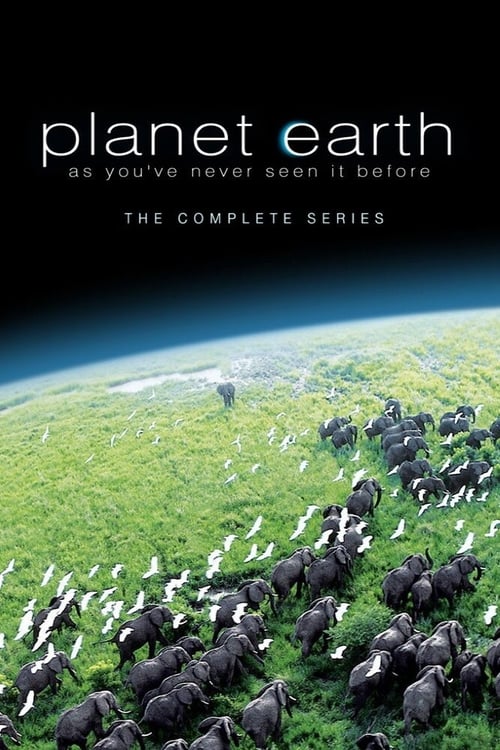 Where to stream Planet Earth Season 1