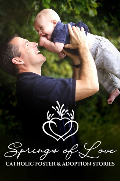 Springs of Love Catholic Foster and Adoption Stories (2022) poster